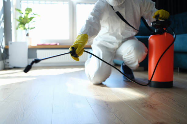 Best Flea Control Services  in Callahan, FL