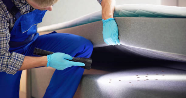 Best Wasp Removal Services  in Callahan, FL