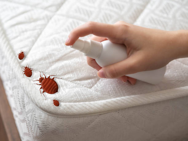 Best Best Pest Control Companies  in Callahan, FL