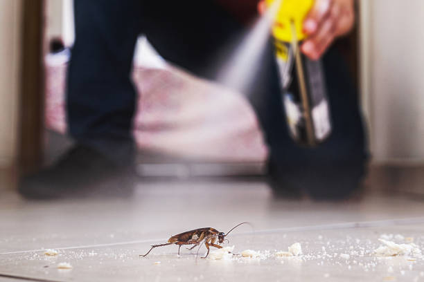 Best Cockroach Control Services  in Callahan, FL