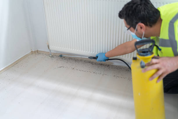 Best Best Pest Control Companies  in Callahan, FL